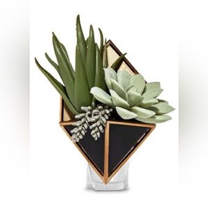 Bath & Body Works - Succulent WallFlower Plug in Geometric Design